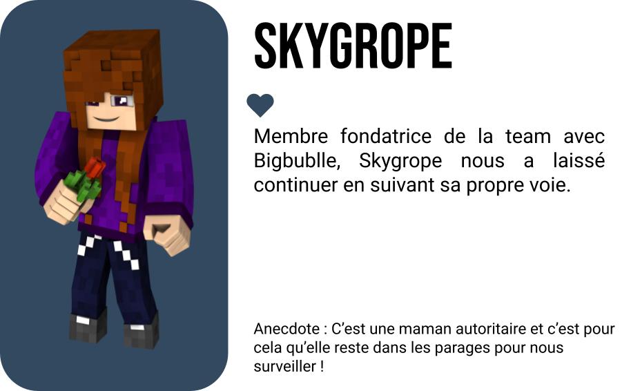Skygrope